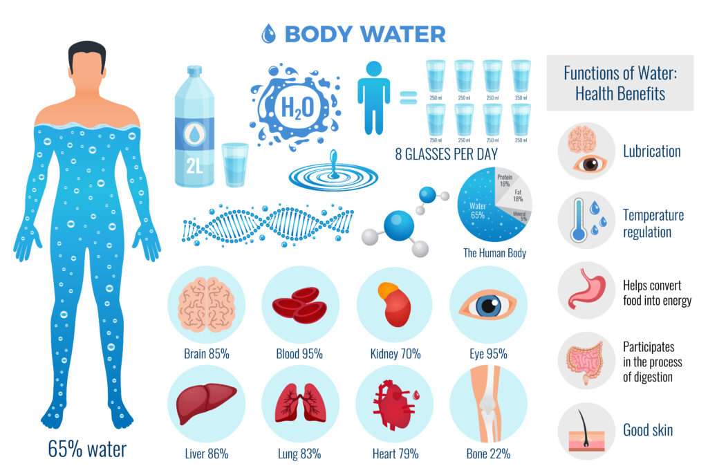 how much water should I drink daily